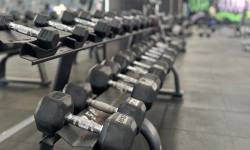 SALA DE MUSCULACIÓN